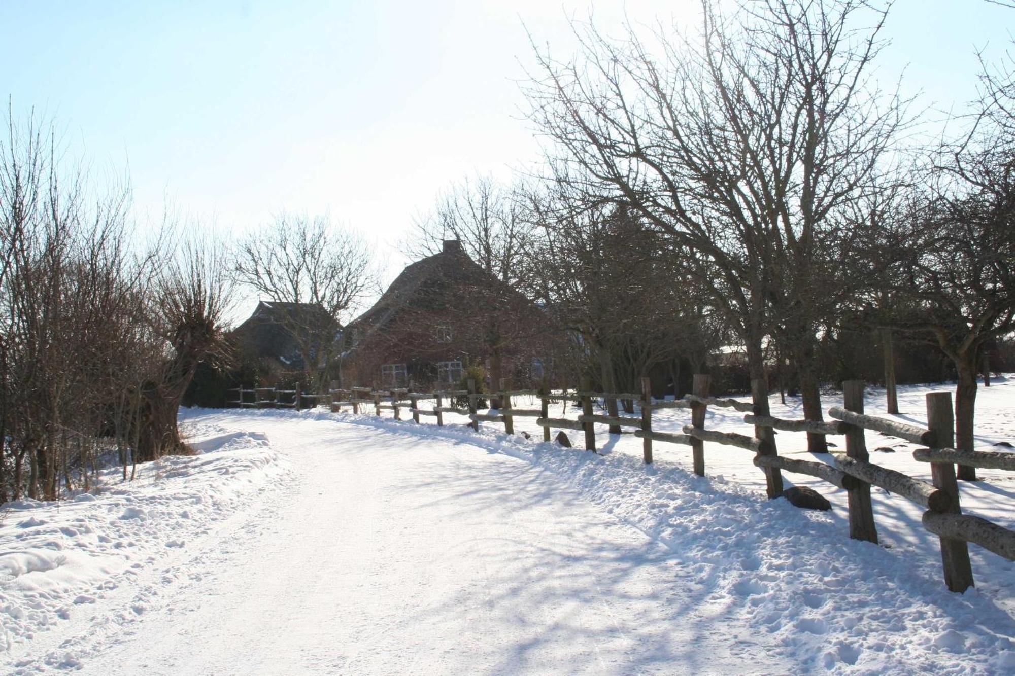 Boddenblick Fw Marlen Villa Barnstorf Dış mekan fotoğraf