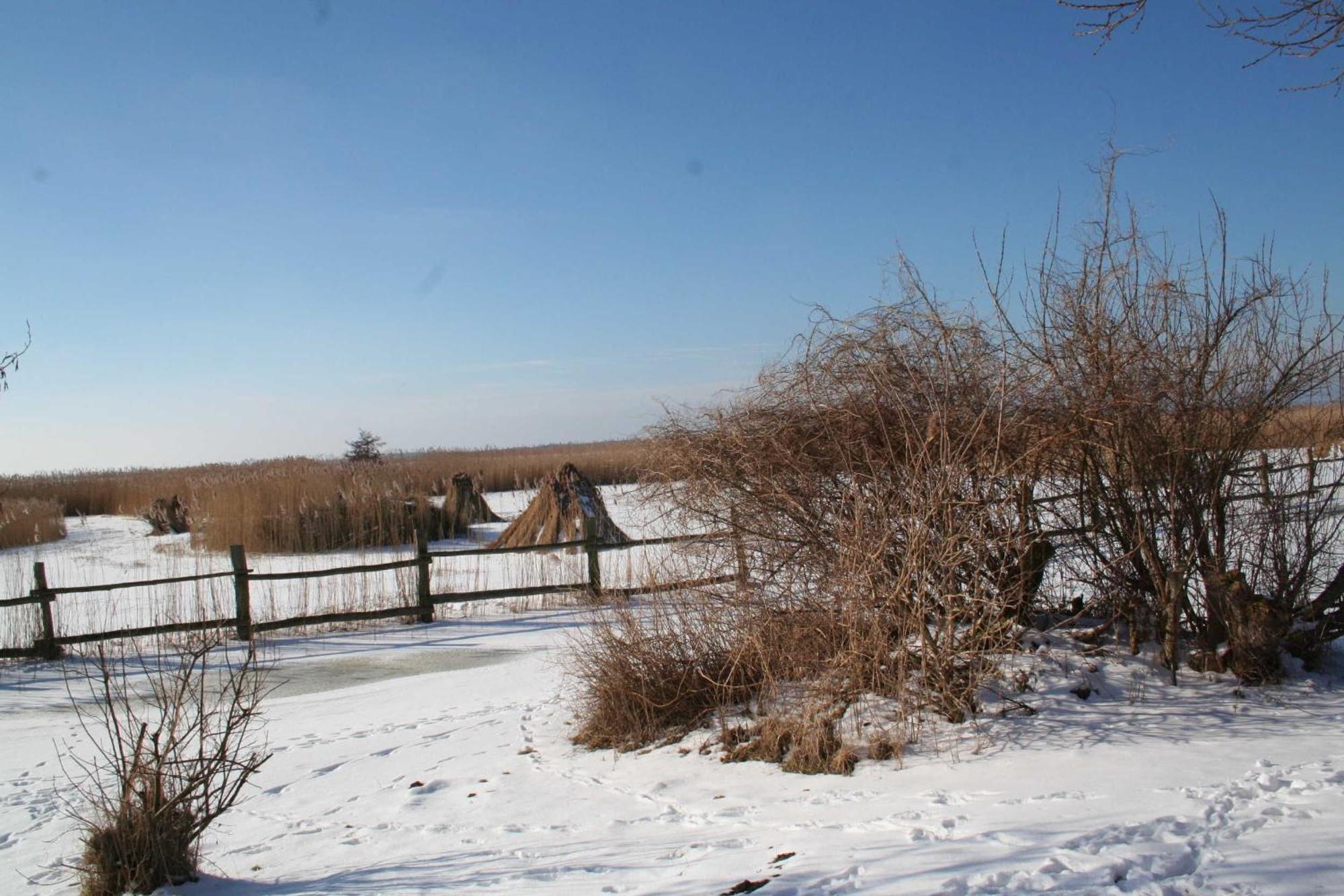 Boddenblick Fw Marlen Villa Barnstorf Dış mekan fotoğraf