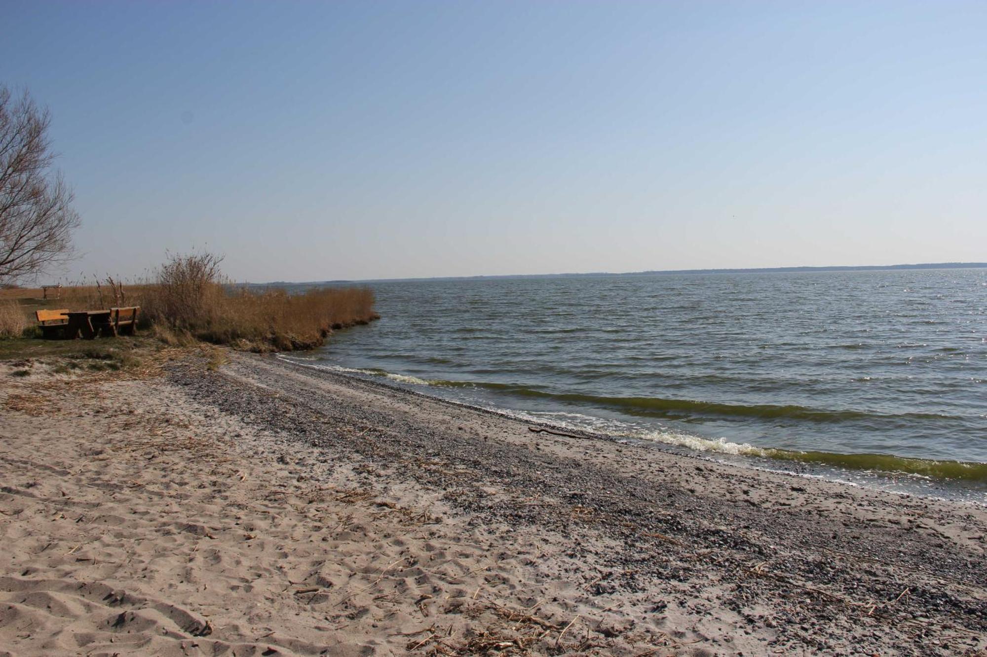 Boddenblick Fw Marlen Villa Barnstorf Dış mekan fotoğraf